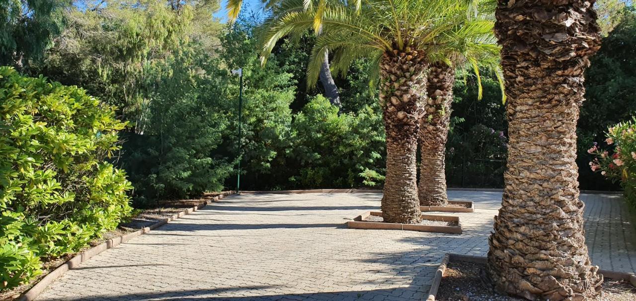 Villa Harmony Vallauris Dış mekan fotoğraf