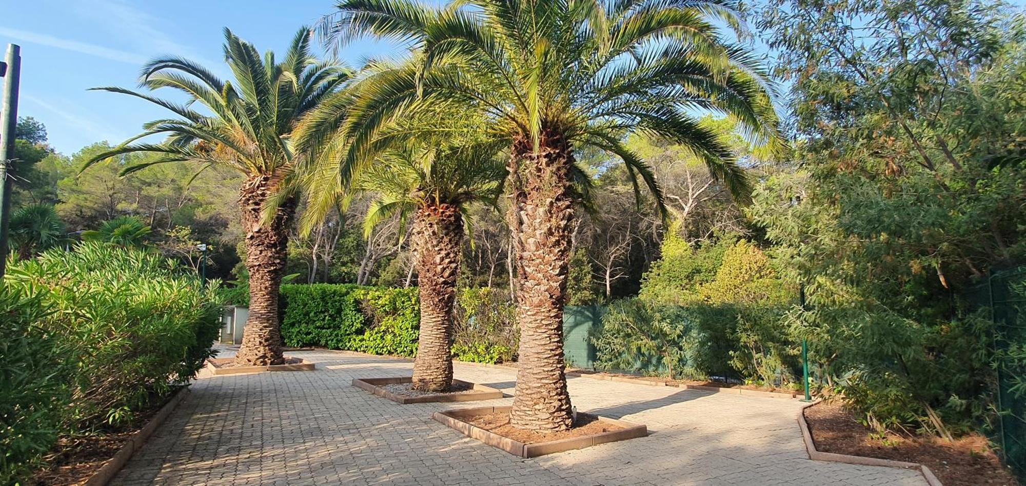 Villa Harmony Vallauris Dış mekan fotoğraf