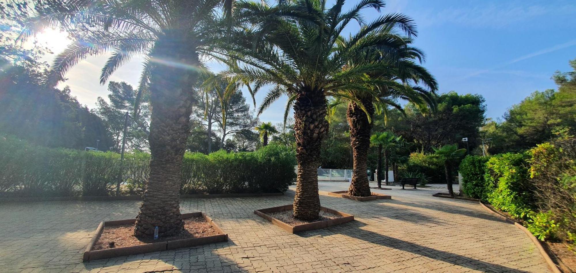 Villa Harmony Vallauris Dış mekan fotoğraf